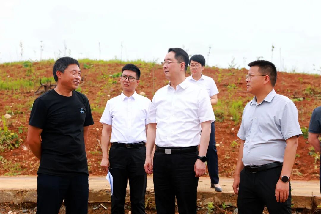 县委书记邱舰调研指导村级集体经济发展工作,都昌县人民政府,政务资讯