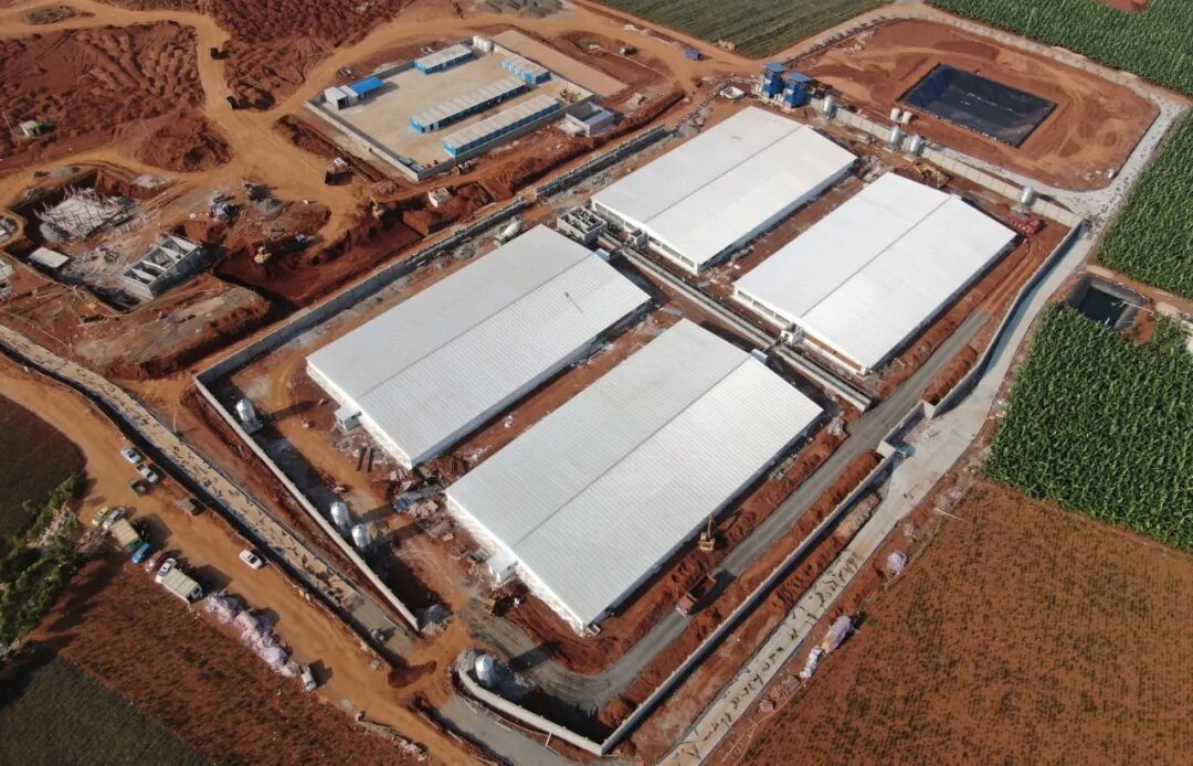 现场直击！年出栏100万头生猪基地是如何建成的
