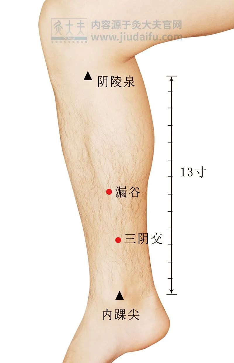 外踝尖图片