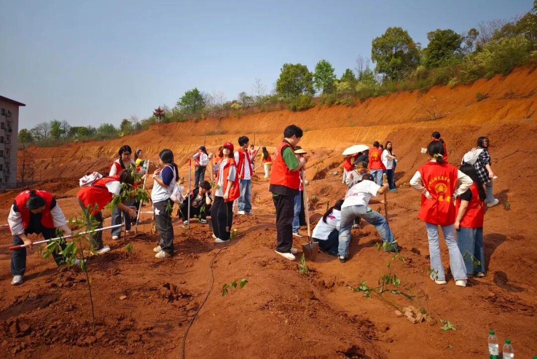 种下生命之树，镌刻时光温柔