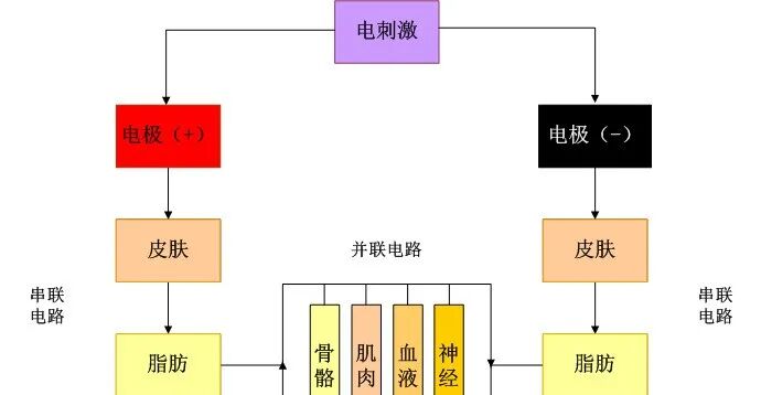 中频为什么能镇痛中频电疗法的治疗作用_https://www.jmylbn.com_新闻资讯_第1张