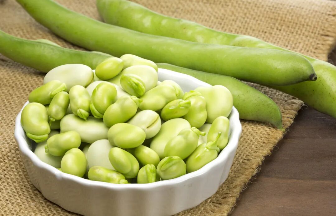 千库网_在陶瓷锅新鲜蚕豆_摄影图编号20109248.jpg