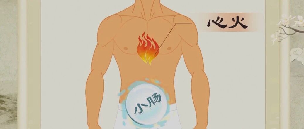 总是尿黄到底是哪里上了火？中医专家带您学习关于尿液的知识。|健康之路
