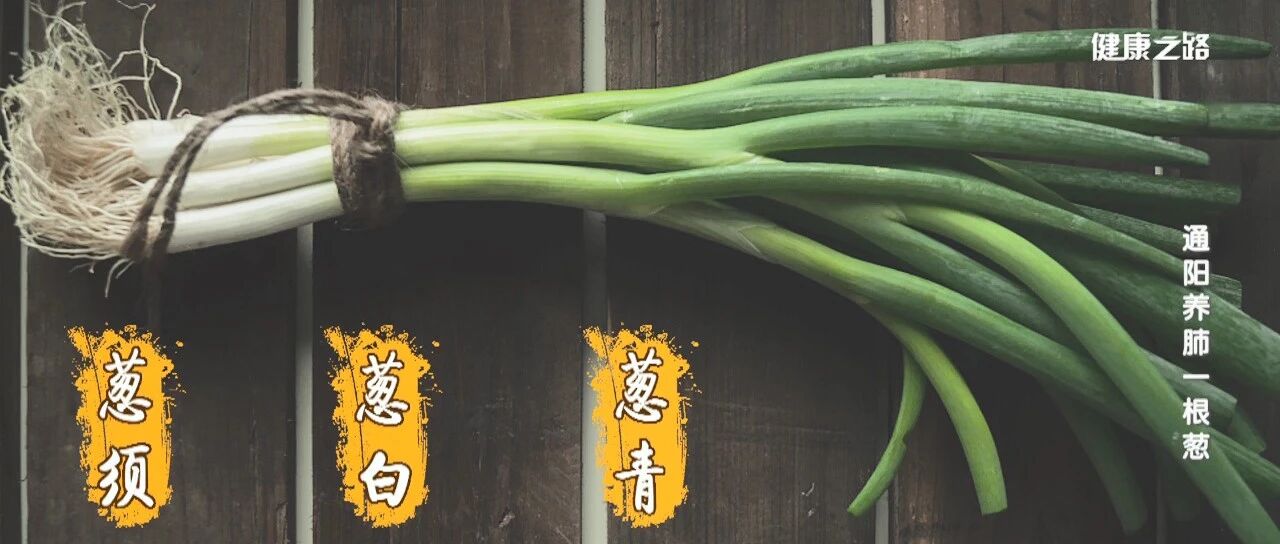 一个方子，两盘菜。中医专家告诉您一根葱的养生奥秘丨健康之路