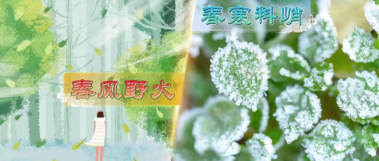 古医书告诉您，春天这样来养生｜健康之路