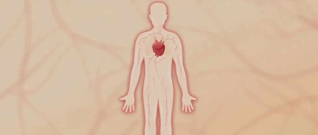 压差大也危险！掌握正确方法，血压不高也不低 | 健康之路