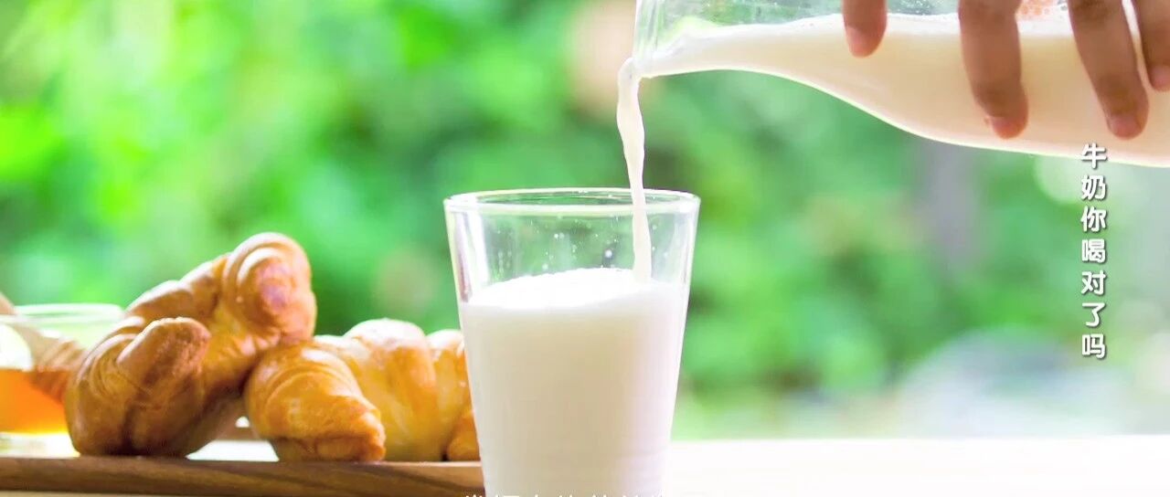 如何正确喝牛奶，这份指南请收好！| 健康之路