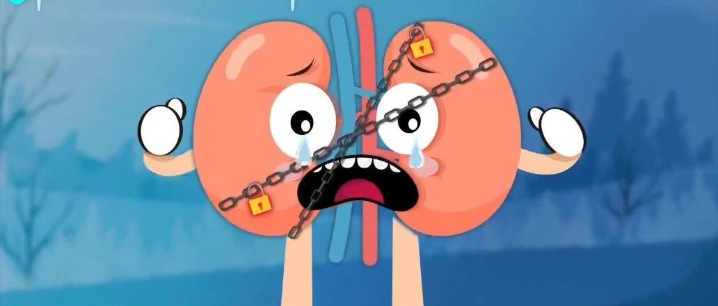 全力助肾，摆脱困境 | 健康之路