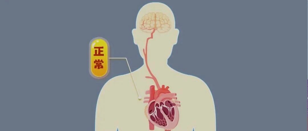 血压如何控？心脏怎样跳？三位医生讲述精彩“心”“血”故事 | 健康之路