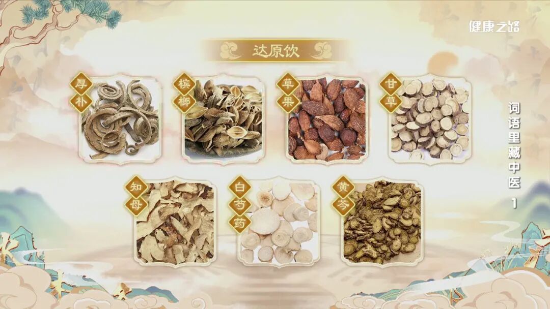 导什么针什么妙手回春、病入膏肓、因势利导，词语里的中医智慧！｜健康之路_https://www.jmylbn.com_新闻资讯_第15张