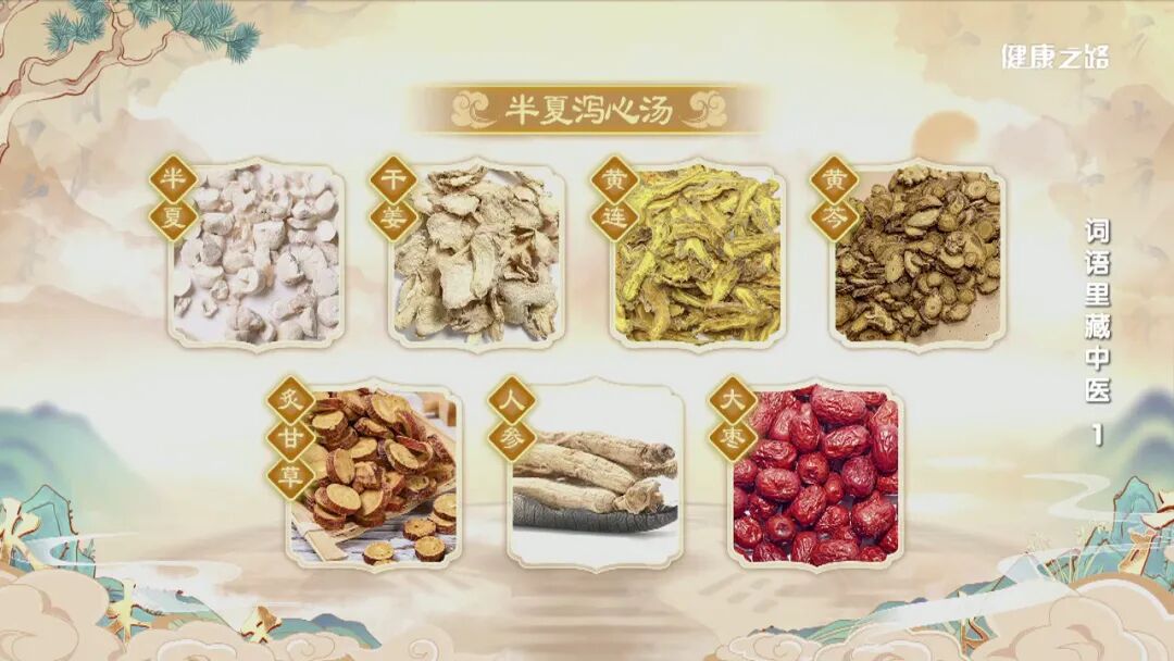 导什么针什么妙手回春、病入膏肓、因势利导，词语里的中医智慧！｜健康之路_https://www.jmylbn.com_新闻资讯_第20张