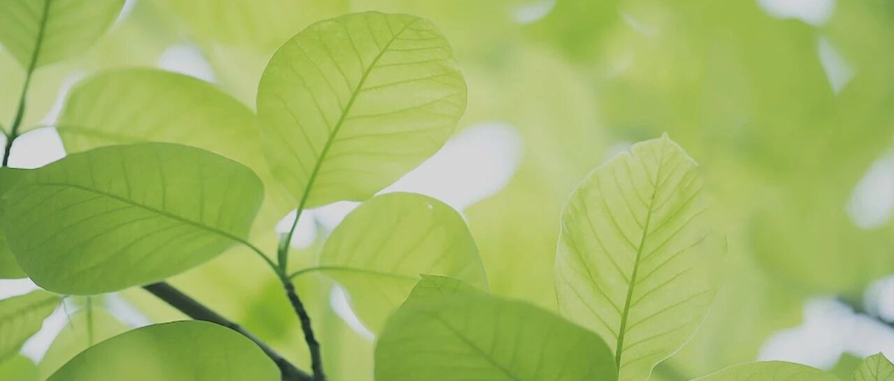 明日春分，调节阴阳正当时！｜健康之路