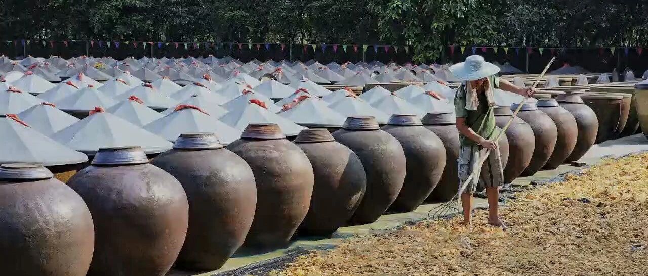 看颜色、看标签、看成份，专家教你如何挑选一瓶好酱油 | 健康之路