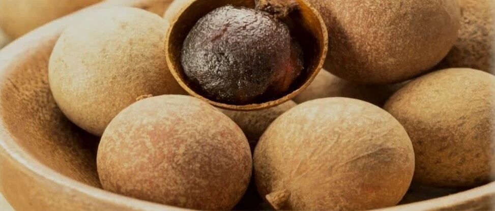 桂圆补气血？咳嗽就吃梨？中医告诉您：吃对才管用 | 健康之路