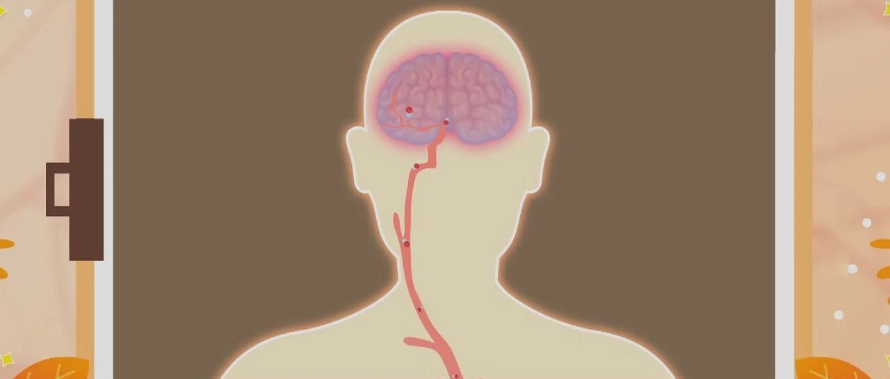 记忆力差，牙龈出血，身体出现小红点？小心血液病在作祟！｜健康之路