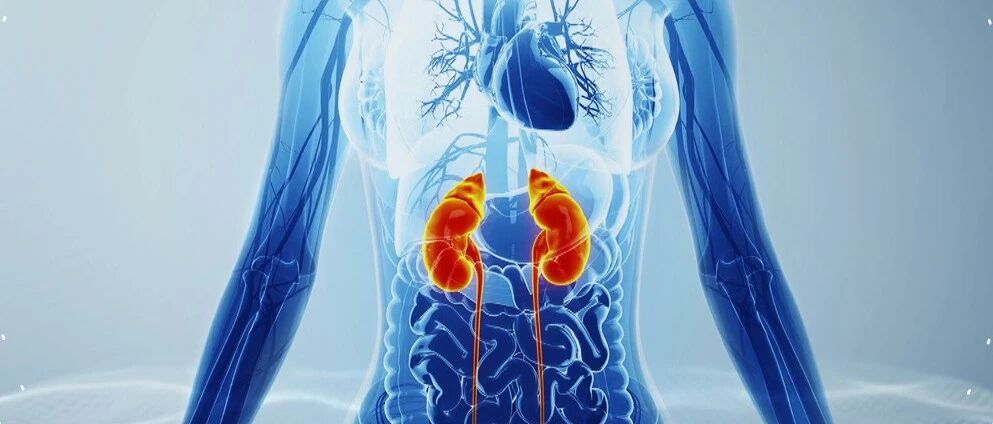 汞中毒、糖尿病、乱吃药，引发肾病的三大元凶！你中招了吗？| 健康之路