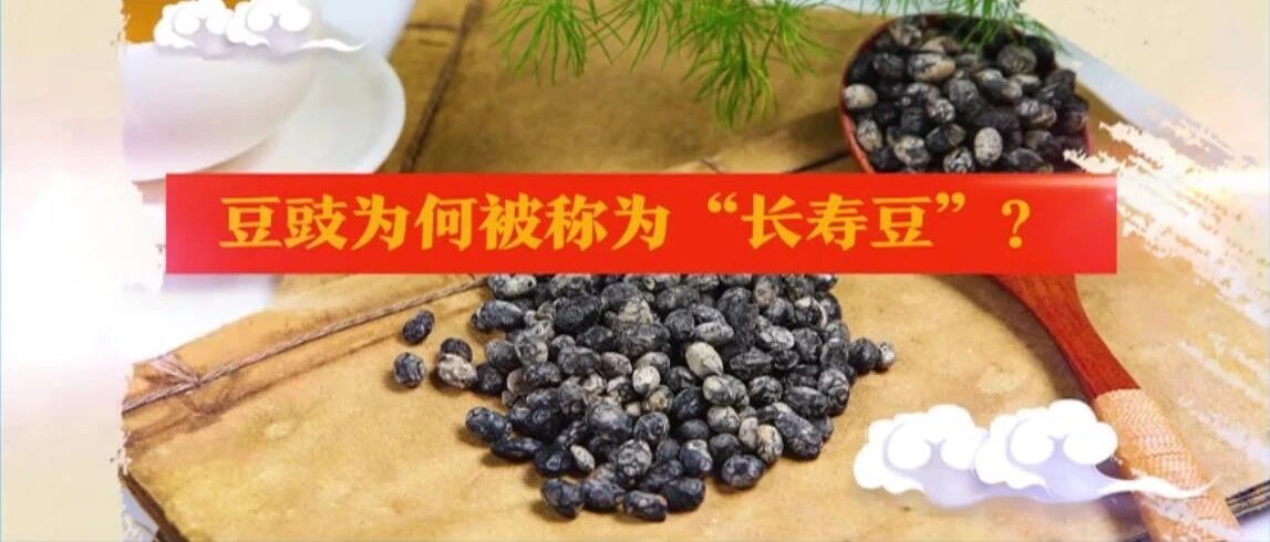 豆豉，不仅仅只是下饭的调味料哦！| 健康之路