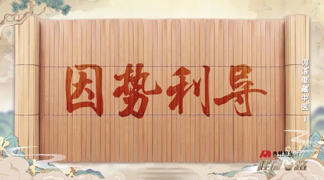 导什么针什么妙手回春、病入膏肓、因势利导，词语里的中医智慧！｜健康之路_https://www.jmylbn.com_新闻资讯_第17张