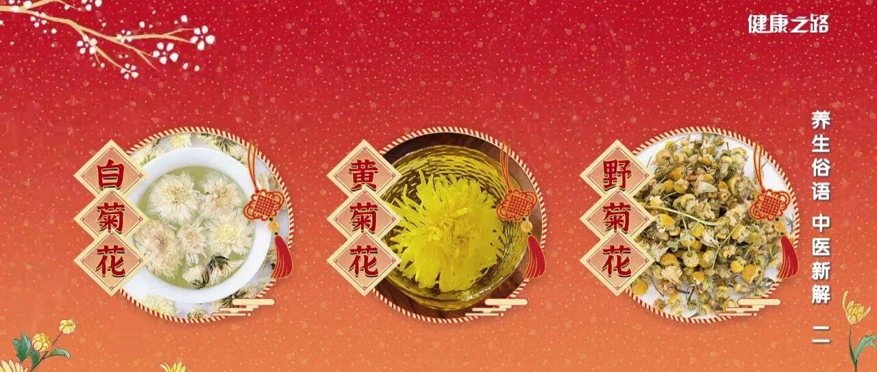 老话说“常饮菊花茶，老来不眼花”，但是不是所有菊花都可以哦~丨健康之路