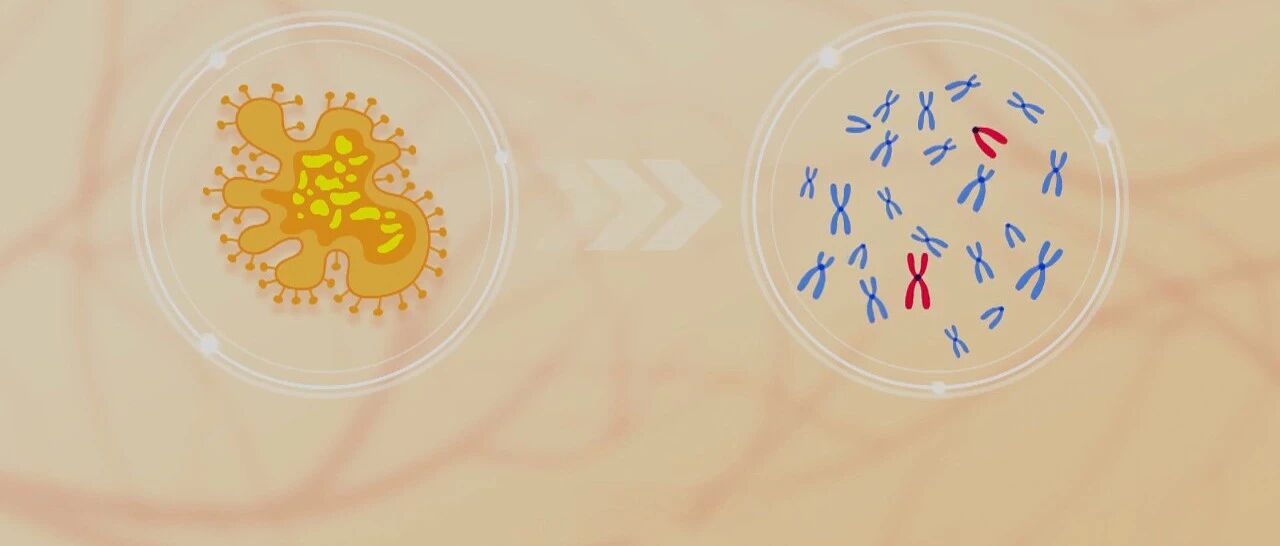 从病人身上取下来的病灶组织，它们都经历了什么？｜健康之路