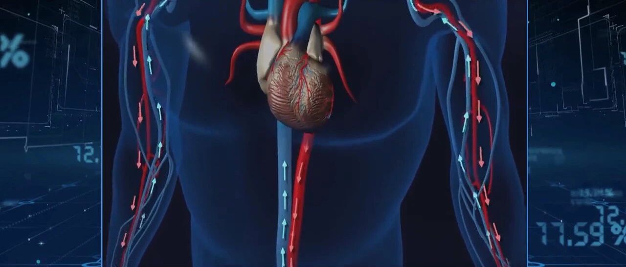 这份“下肢深静脉”说明书，带您远离血栓危害！｜健康之路