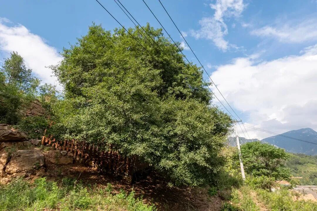 郑州紧急通知停课1天