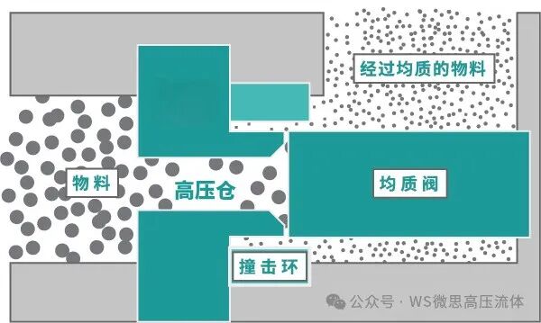 微思高壓均質機：現代中藥提取的“細胞破壁引擎