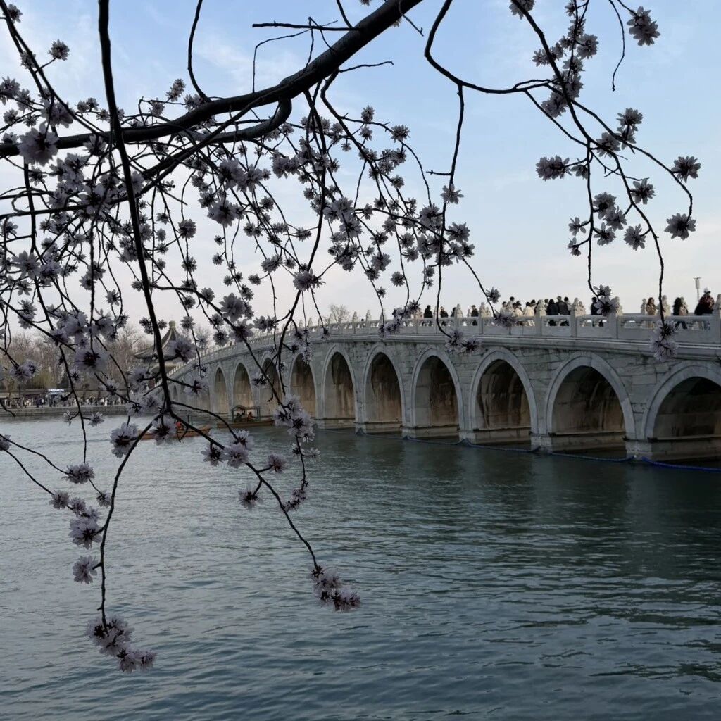 豪云科技集团