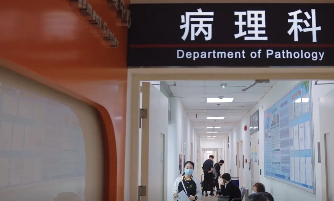 当 AI 成为显微镜的瞳孔，病理科迎来“超分辨率”时刻