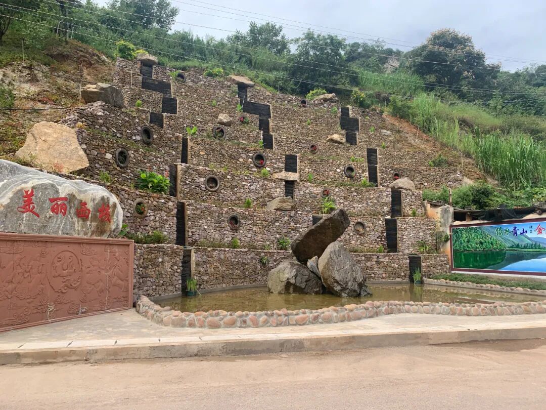 罗免镇:"泥腿子"干部闯出"梅"好新光景