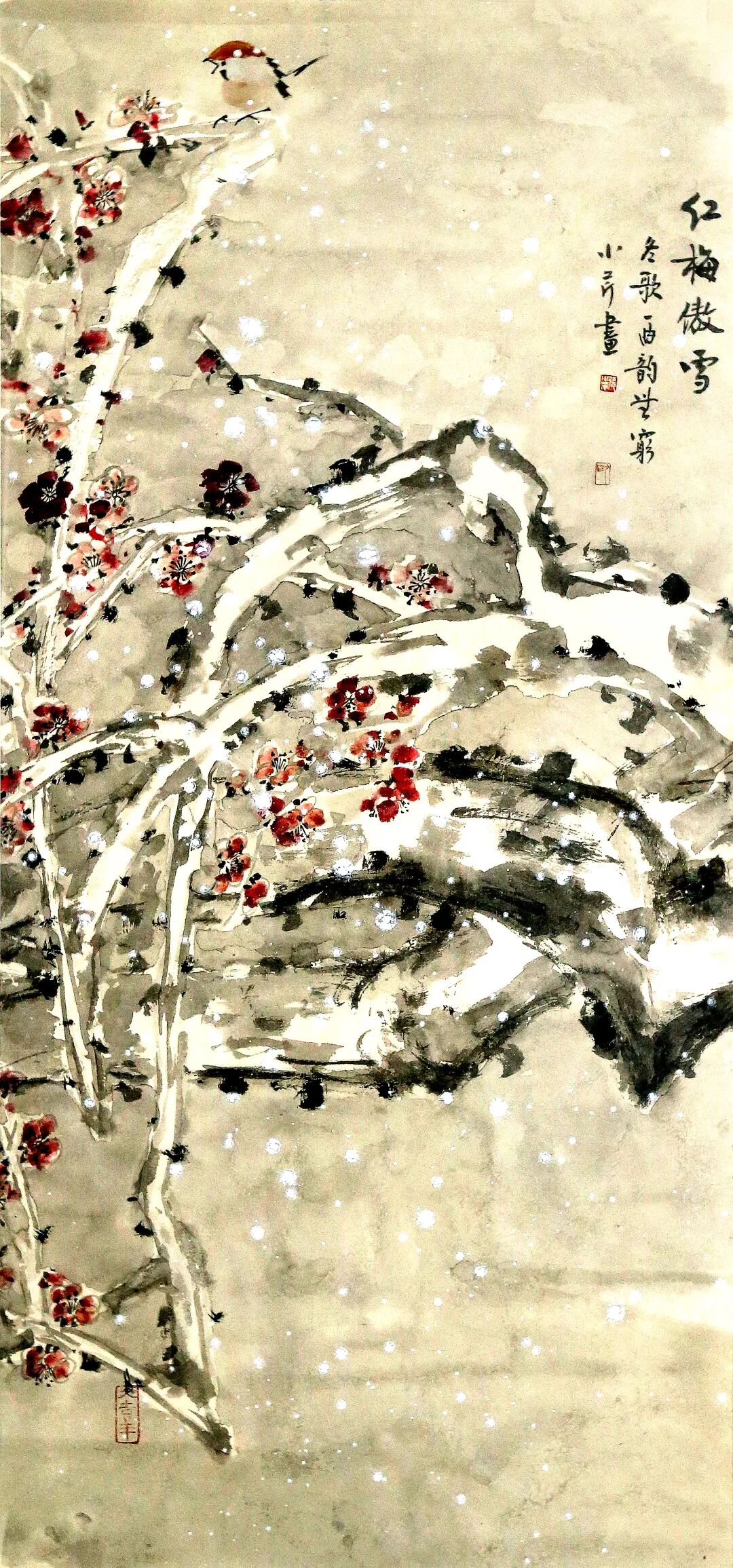 图片