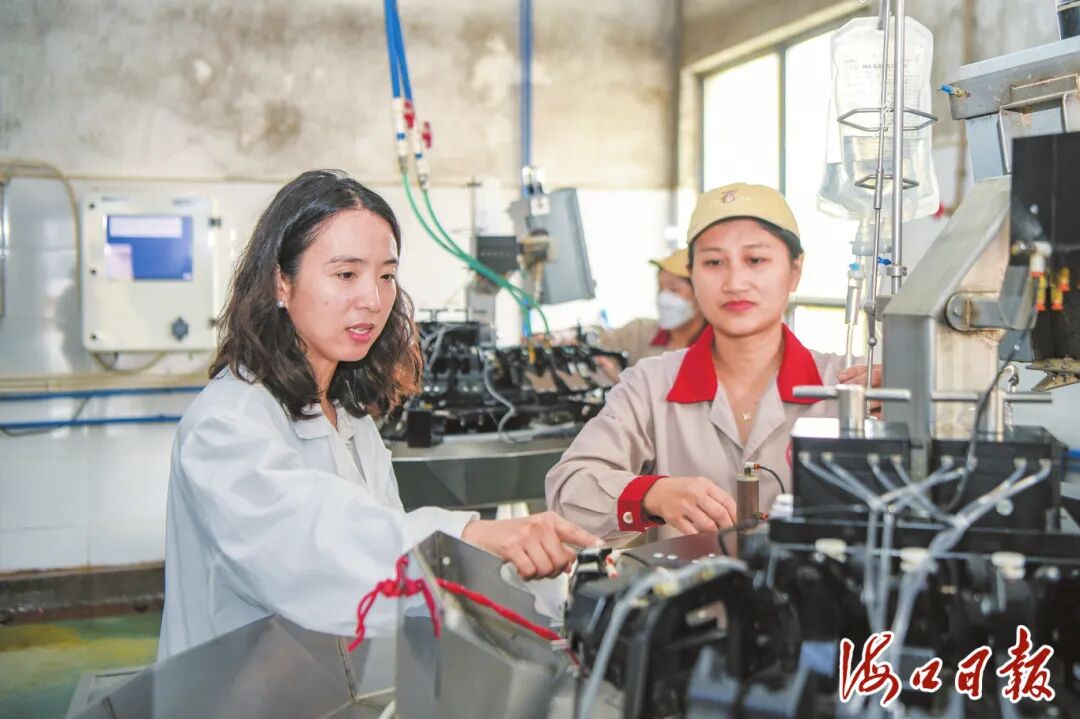 在海南（潭牛）文昌鸡股份有限公司育种基地的孵化厂内，王秀萍（左）和工人一起查看设备运行情况。 海口市融媒体中心记者 苏弼坤 摄