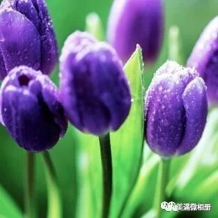 这首歪唱太绝了！发到群里大家听听！