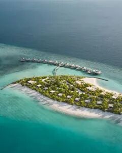 马尔代夫翡叶群岛柏典酒店·一卧室海滩泳池别墅 3晚