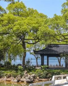 杭州西湖柳莺里酒店·园景大床房 1晚