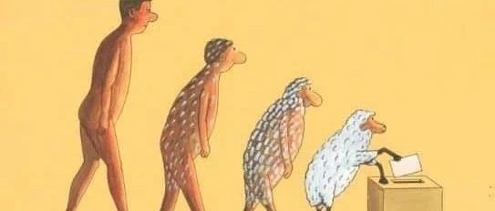 cover_image