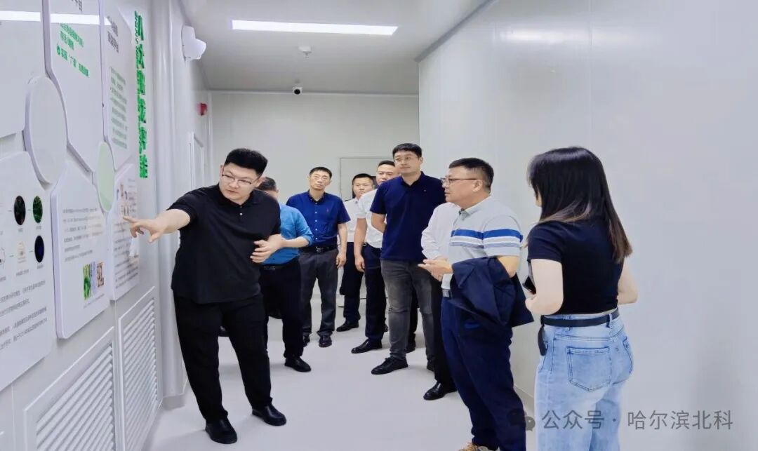 未标题-1_画板 1