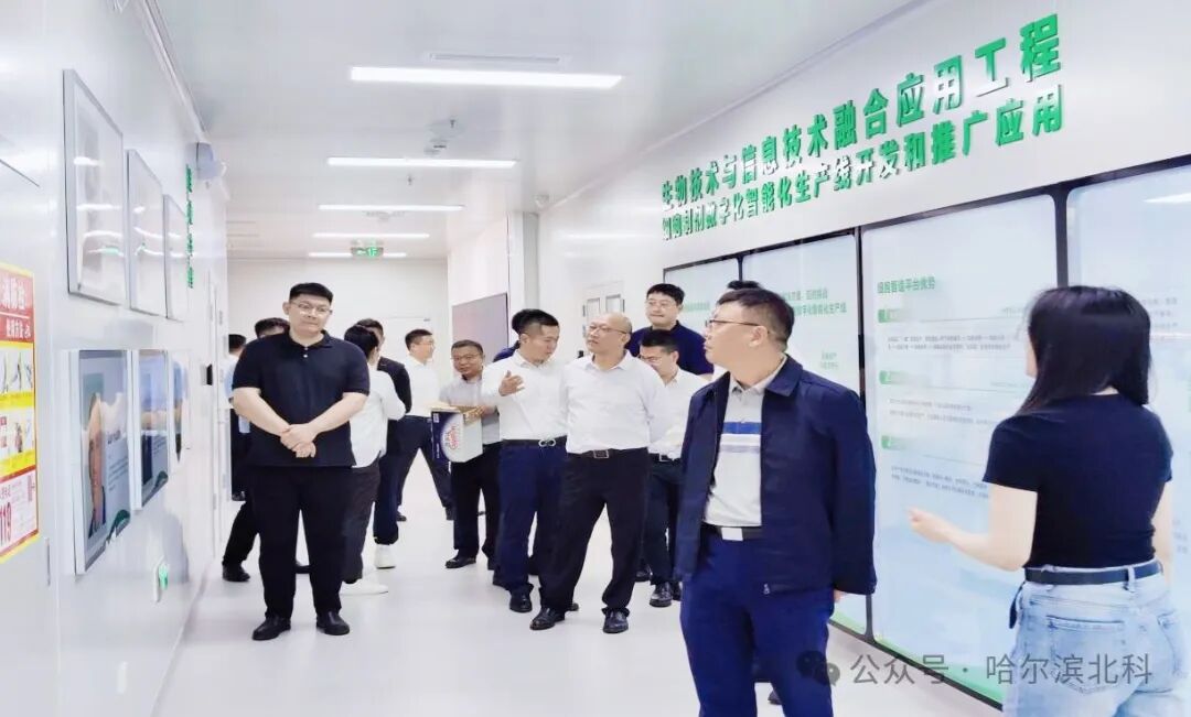 未标题-1_画板 1 副本