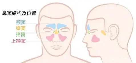 86039e6cd83111a98e30659c8a09ab55