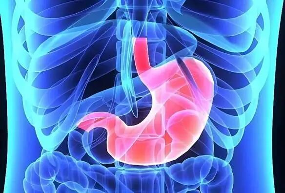 cbcee610-fe67-4bce-b1c8-07268b18fec0