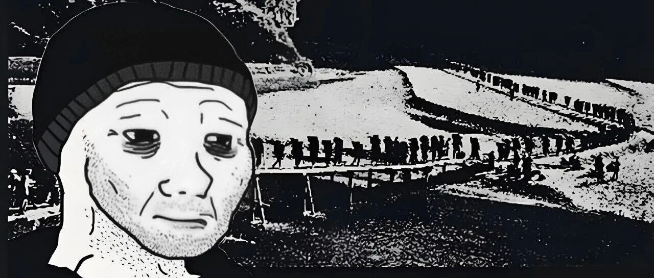 cover_image