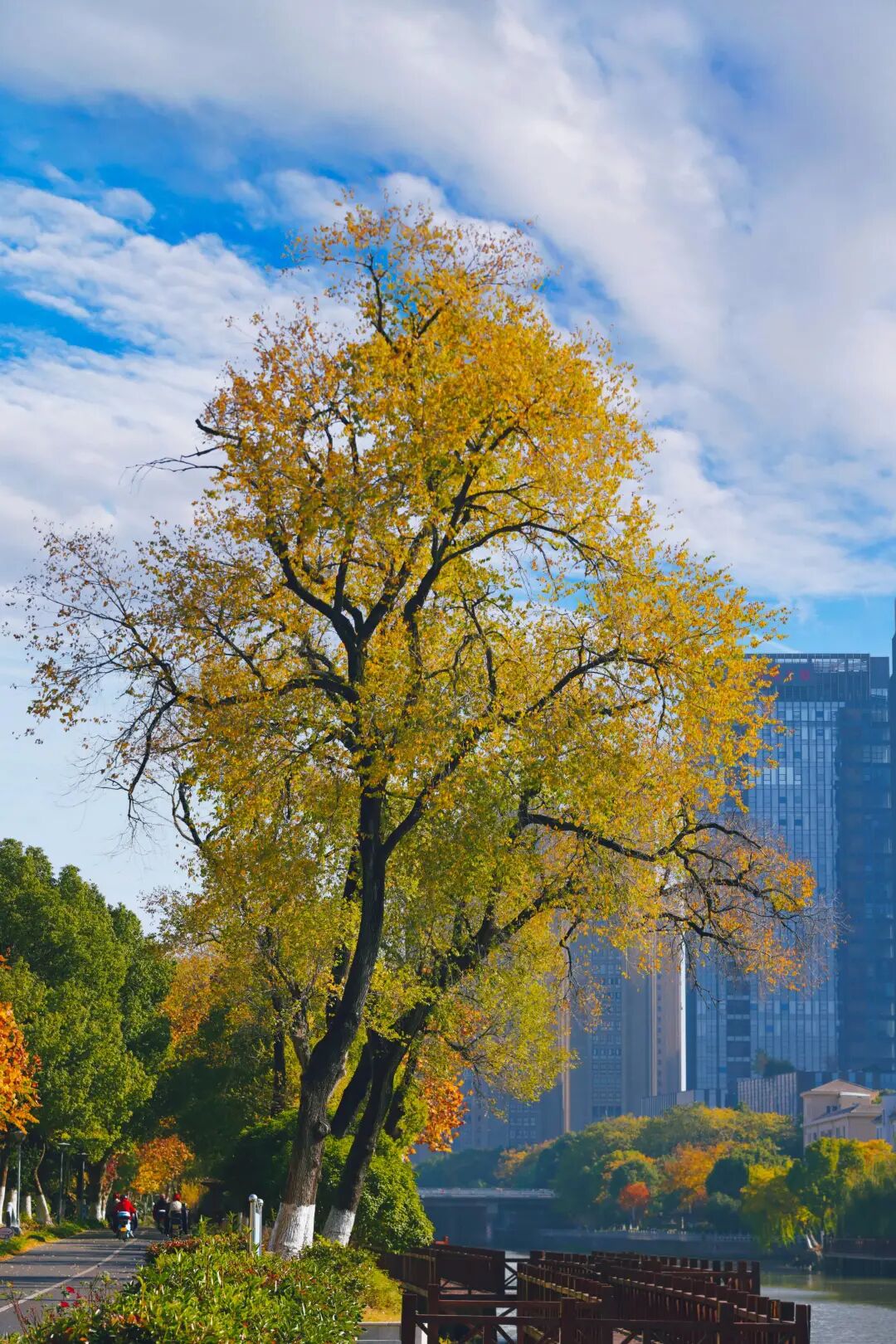 浙江海宁美爆了30个出片圣地
