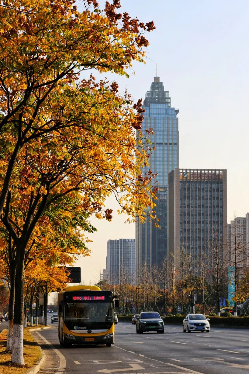 浙江海宁:美爆了!30个出片圣地