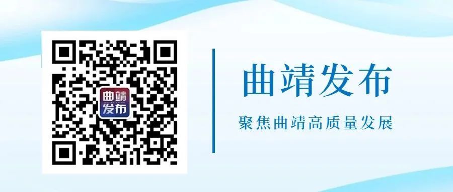 台风来袭十要十不要