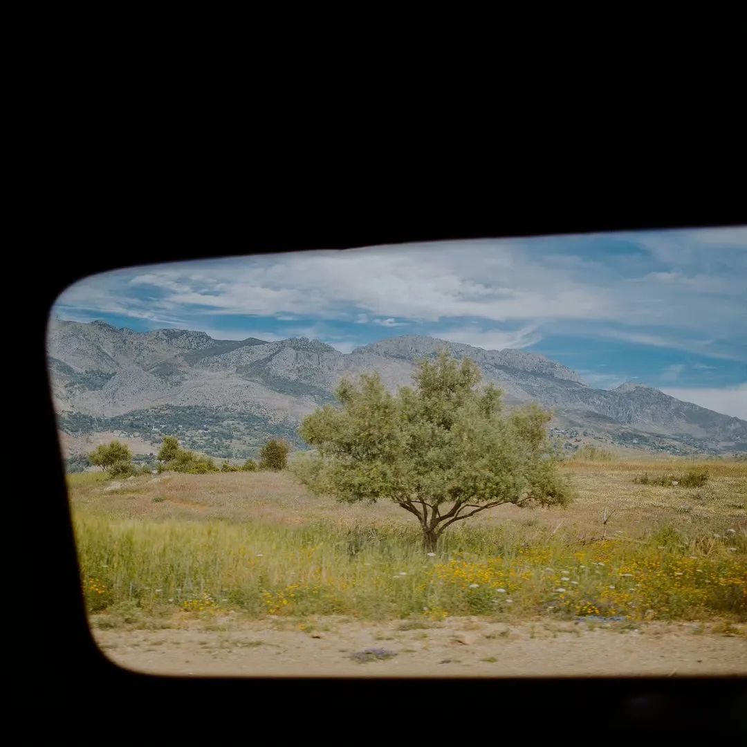 摄影知识分享车窗是最好的取景器