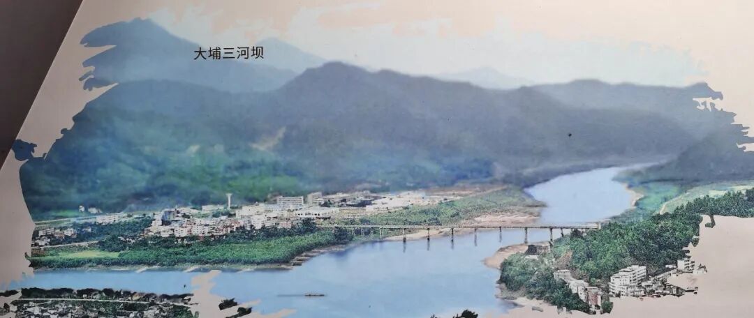 没有这场惨烈断后，就没有震惊史册的井冈山会师(图1)