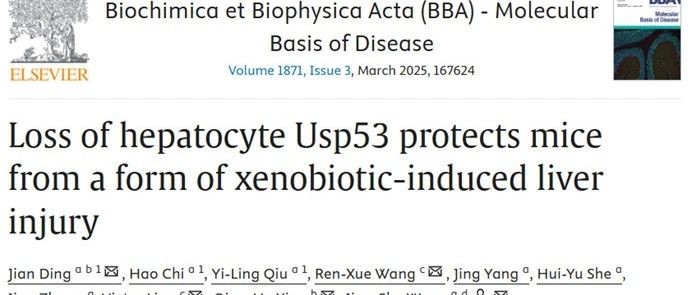 cover_image