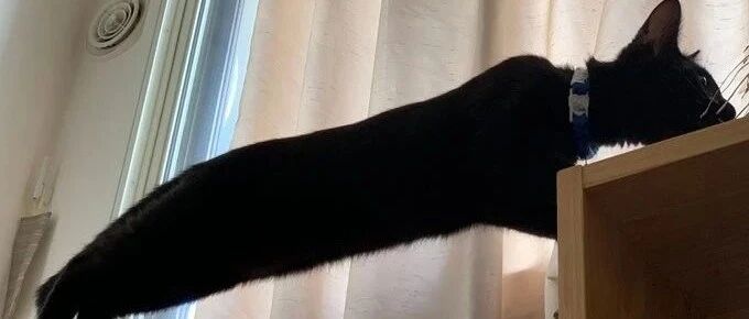 胖子有他特别的哄女朋友方式~