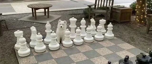 当你在简历上撒了谎，但还是得到了这份工作！ ​​​