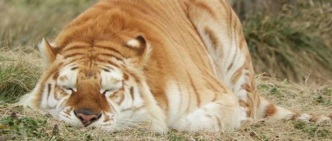 看完，我狠狠地打了自己两个耳光。。。